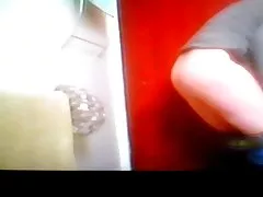 Lēdija Lina ll