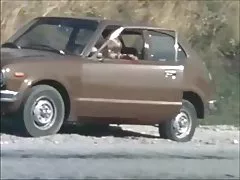 Dāņu vintage