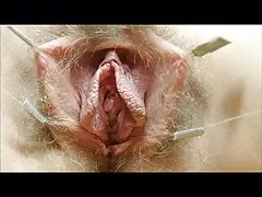 Dziedot pussies