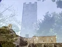 Tropu spice