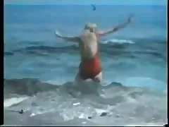 Vīnogu novākšanas